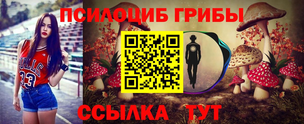 Псилоцибиновые грибы мухоморы  Вход с VPN  Саянск 